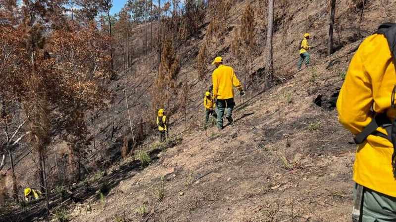 bomberos