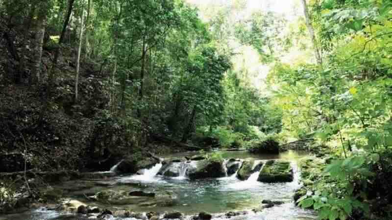 educacion ambiental