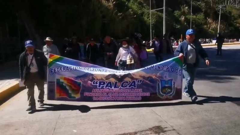 palca