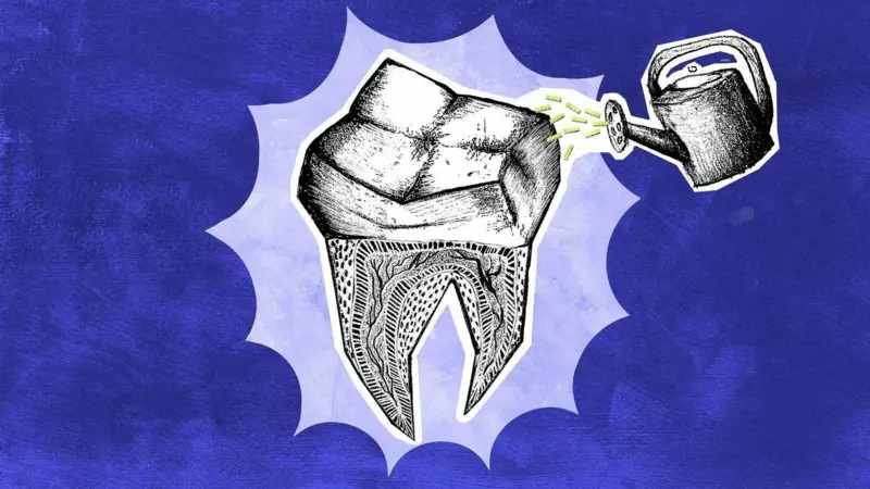 crecer dientes