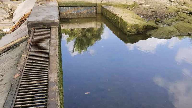 rio sanate