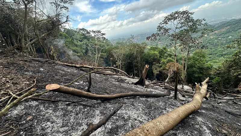 incendio
