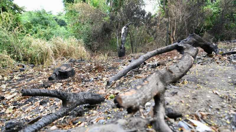 incendios