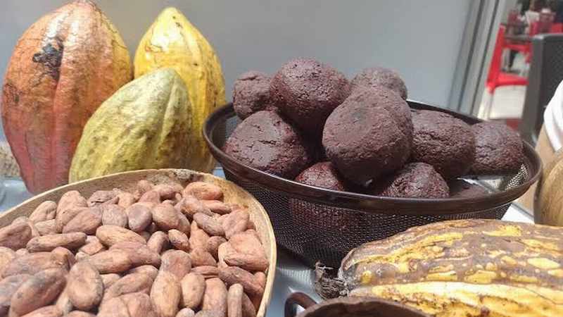 cacao