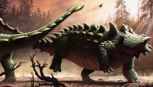 ankylosaurs