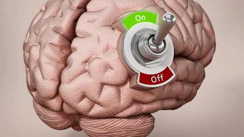 zona cerebro