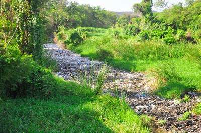 El cúmulo de basura ahoga al Río Yaque del Norte – El Muro 360