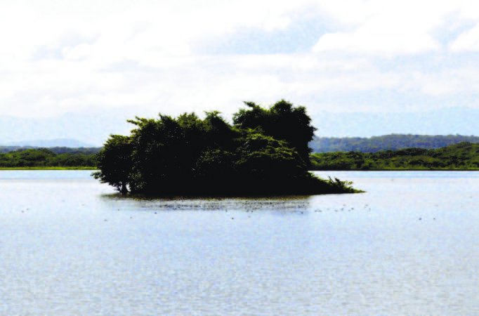 Laguna saladito