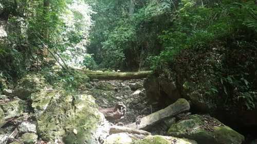 rio mulito