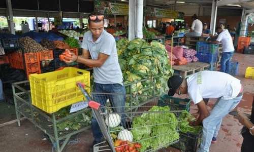 alimentos