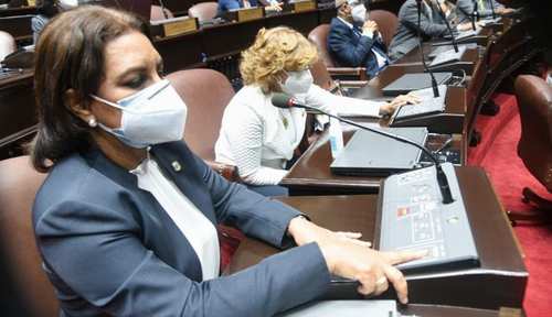 sesion diputados