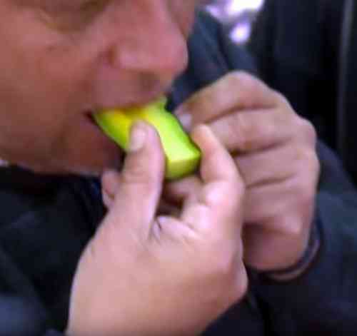 aguacates peligro