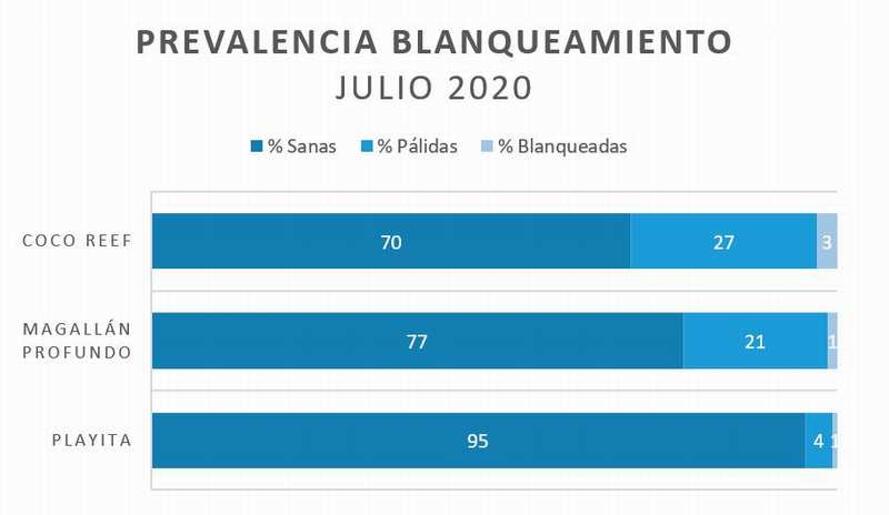 blanqueamiento grafico