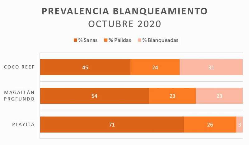 blanqueamiento grafico1