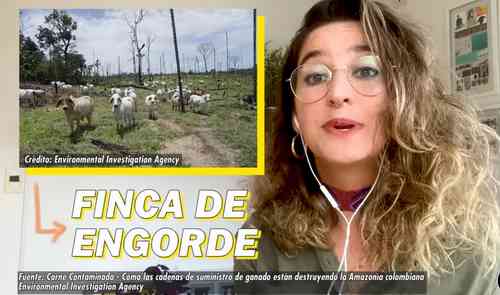 amazonia invadida