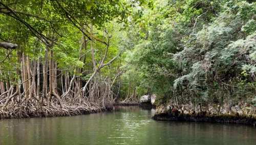 los haitises