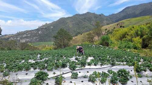 valle nuevo protegido