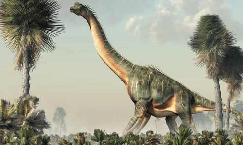 brachiosaurus