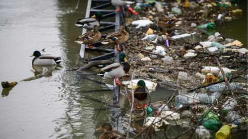 contaminacion covid