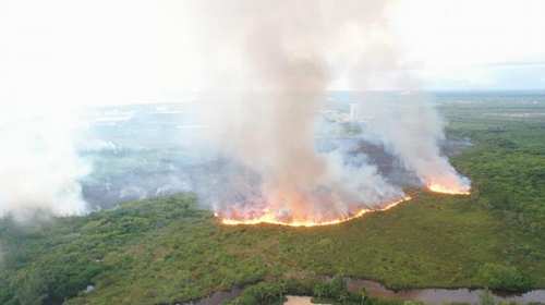 fuego loma miranda