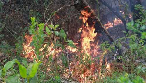 incendio bahoruco