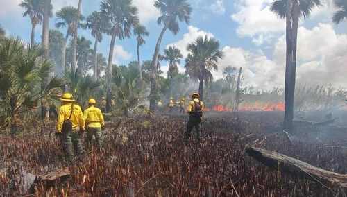 incendio laguna bavaro