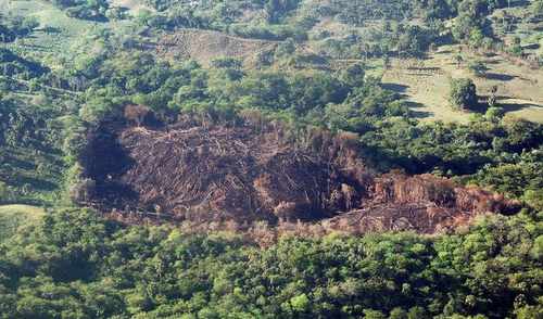 incendios forestales rd