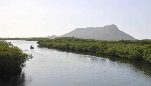 manglar montecristi