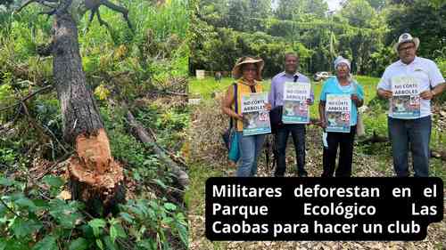 Militares deforestan en el Parque Ecológico Las Caobas para hacer un club