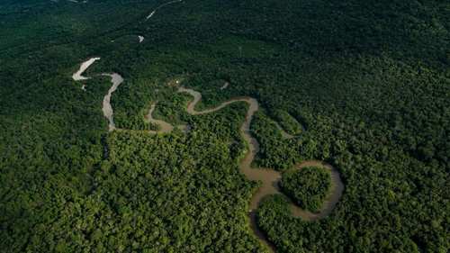 amazonia