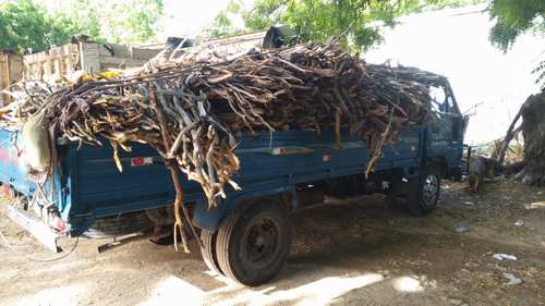 camion con guaconejo