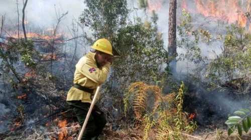 incendio valle nuevo