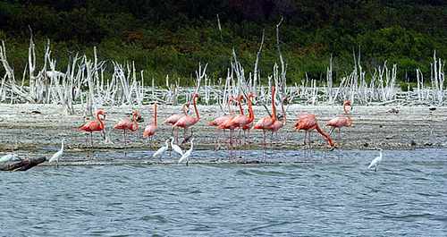 lago enriquillo