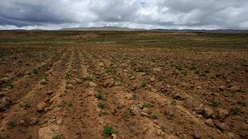 sequia cambio climatico