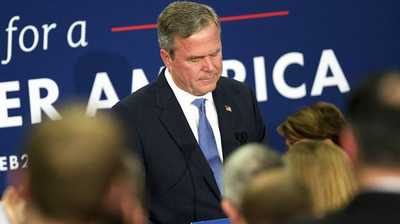 bush