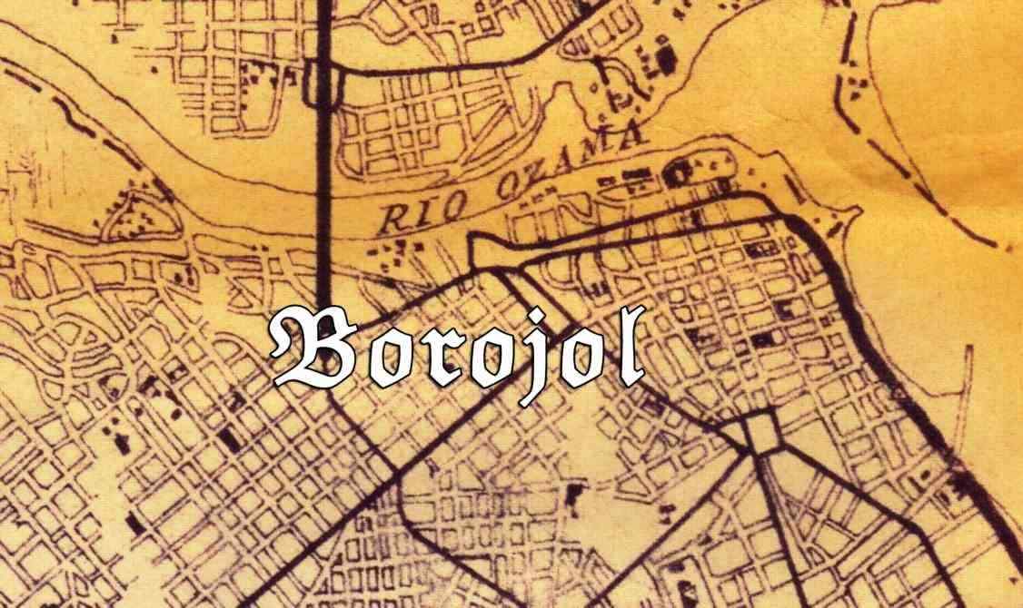 Borojol