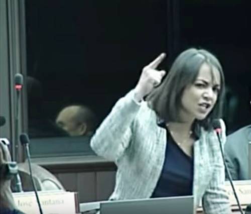 Faride en la C&aacute;mara de Diputados