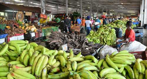 mercado agricola